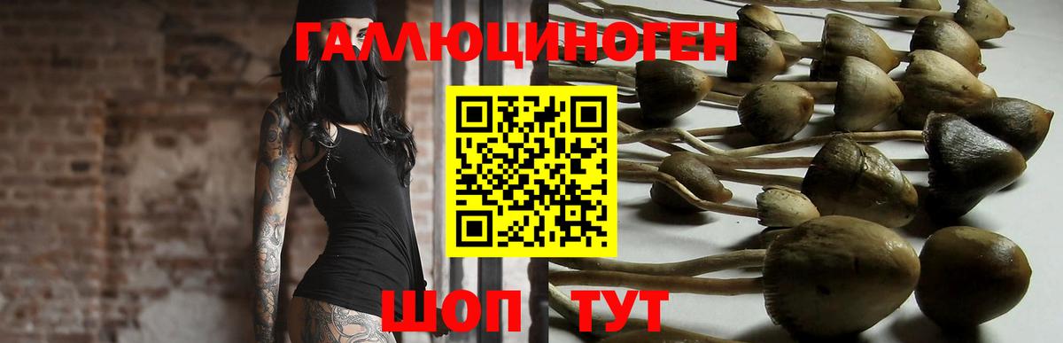 Галлюциногенные грибы MAGIC MUSHROOMS  Галлюциногенные грибы мухоморы  Вход с VPN  Дюртюли 